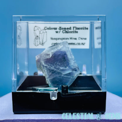 RARE Yaogangxian Colour-Zoned Fluorite with Chlorite Mini Cluster Specimen