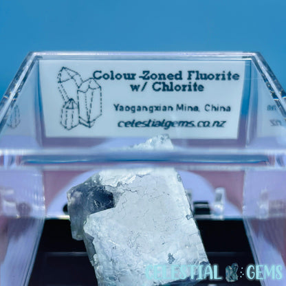 RARE Yaogangxian Colour-Zoned Fluorite with Chlorite Mini Cluster Specimen