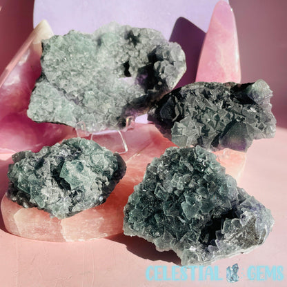 Dark Green Cubic Fluorite Medium Cluster Plate