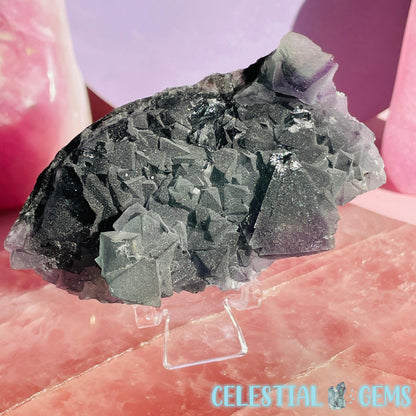 Dark Green Cubic Fluorite Medium Cluster Plate