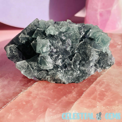 Dark Green Cubic Fluorite Medium Cluster Plate