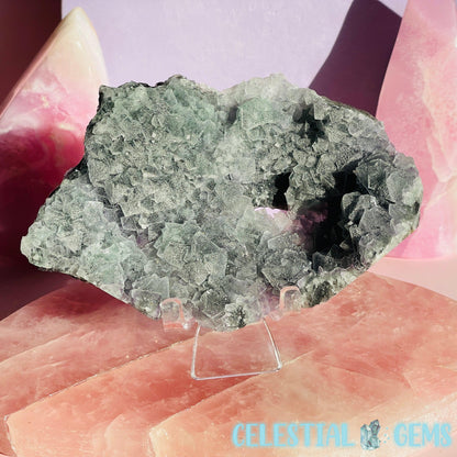 Dark Green Cubic Fluorite Medium Cluster Plate