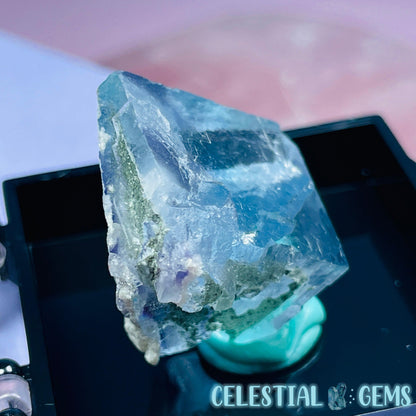 RARE Yaogangxian Colour-Zoned Fluorite with Chlorite Mini Cluster Specimen