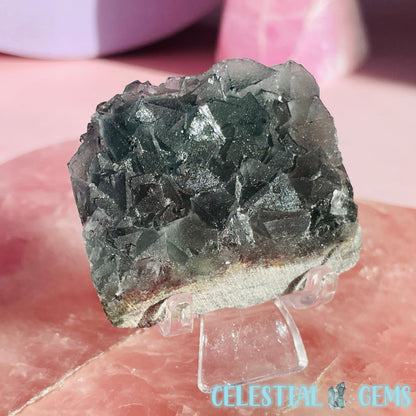 Dark Green Cubic Fluorite Small Cluster Plate