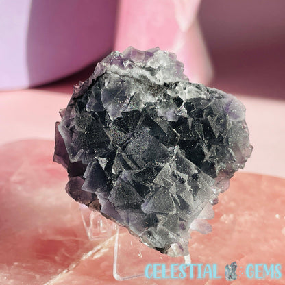 Dark Green Cubic Fluorite Small Cluster Plate