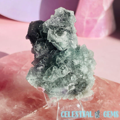 Dark Green Cubic Fluorite Small Cluster Plate