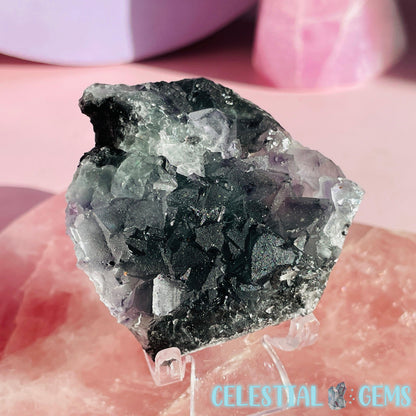 Dark Green Cubic Fluorite Small Cluster Plate