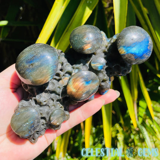 Labradorite Mushroom Troop Large Carving