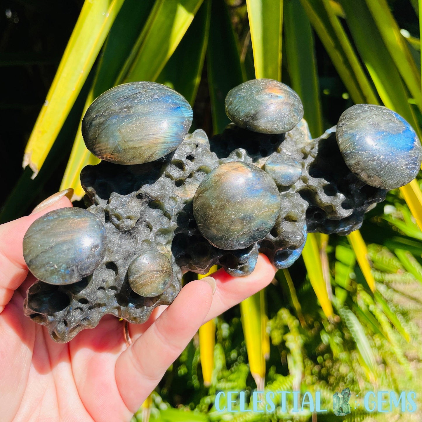Labradorite Mushroom Troop Large Carving