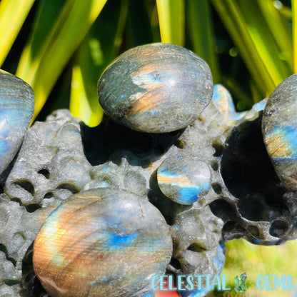 Labradorite Mushroom Troop Large Carving