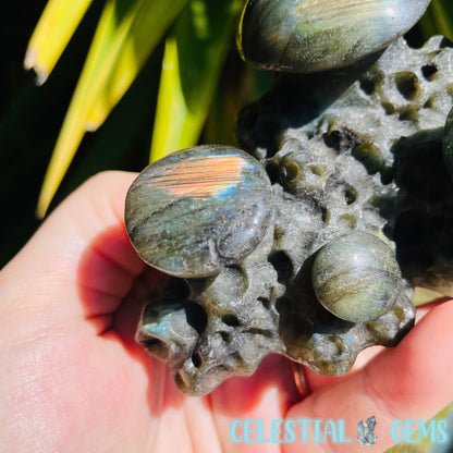 Labradorite Mushroom Troop Large Carving