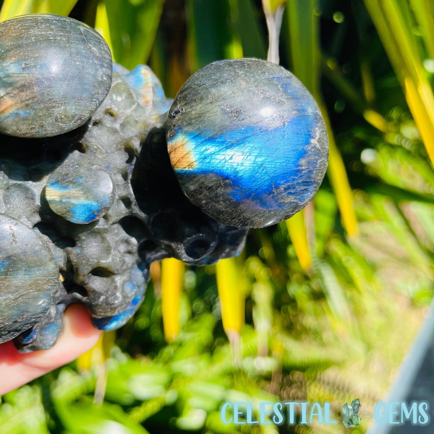 Labradorite Mushroom Troop Large Carving