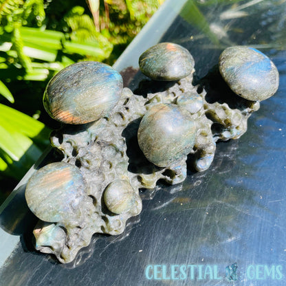 Labradorite Mushroom Troop Large Carving