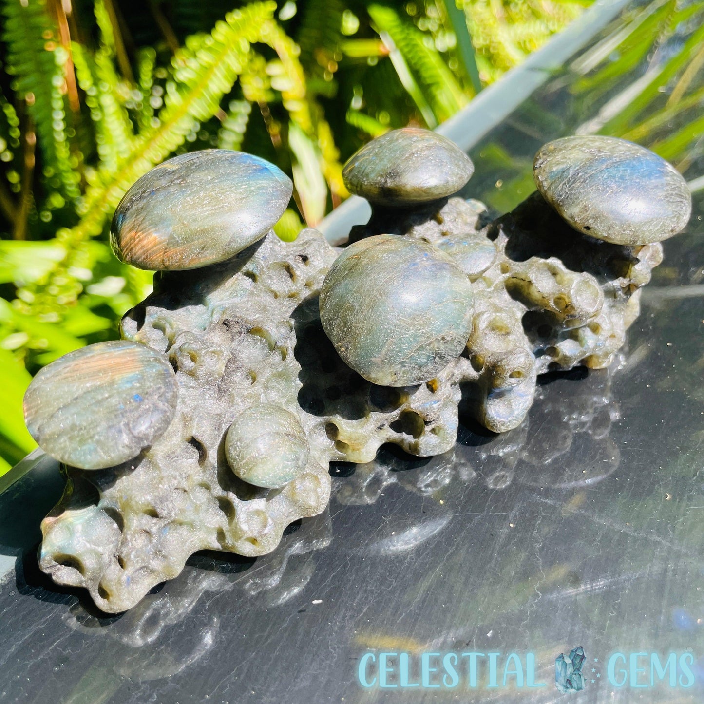Labradorite Mushroom Troop Large Carving