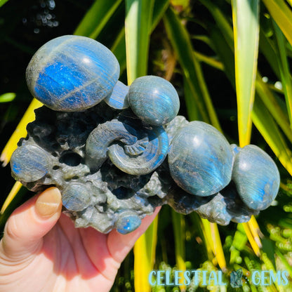 Labradorite Mushroom Troop Large Carving