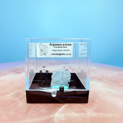 Aquamarine (Scandium-Rich) Crystal Specimen in Box