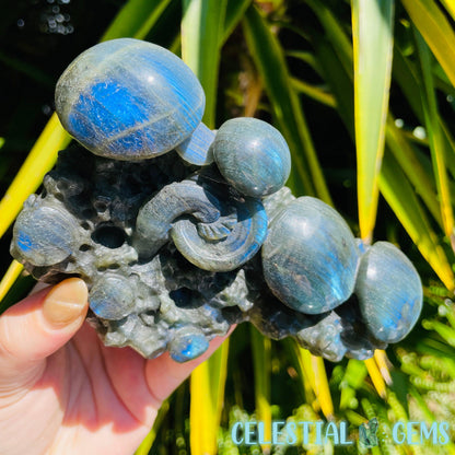 Labradorite Mushroom Troop Large Carving