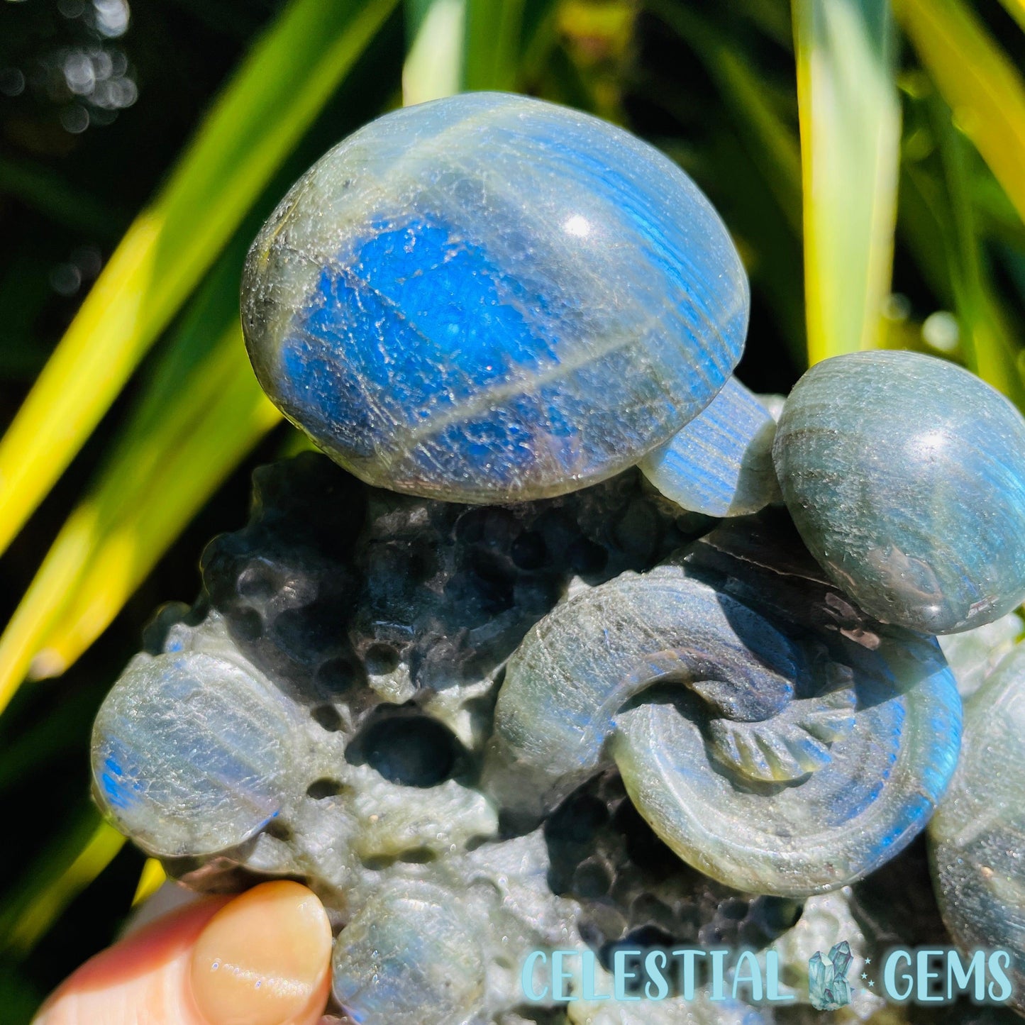 Labradorite Mushroom Troop Large Carving