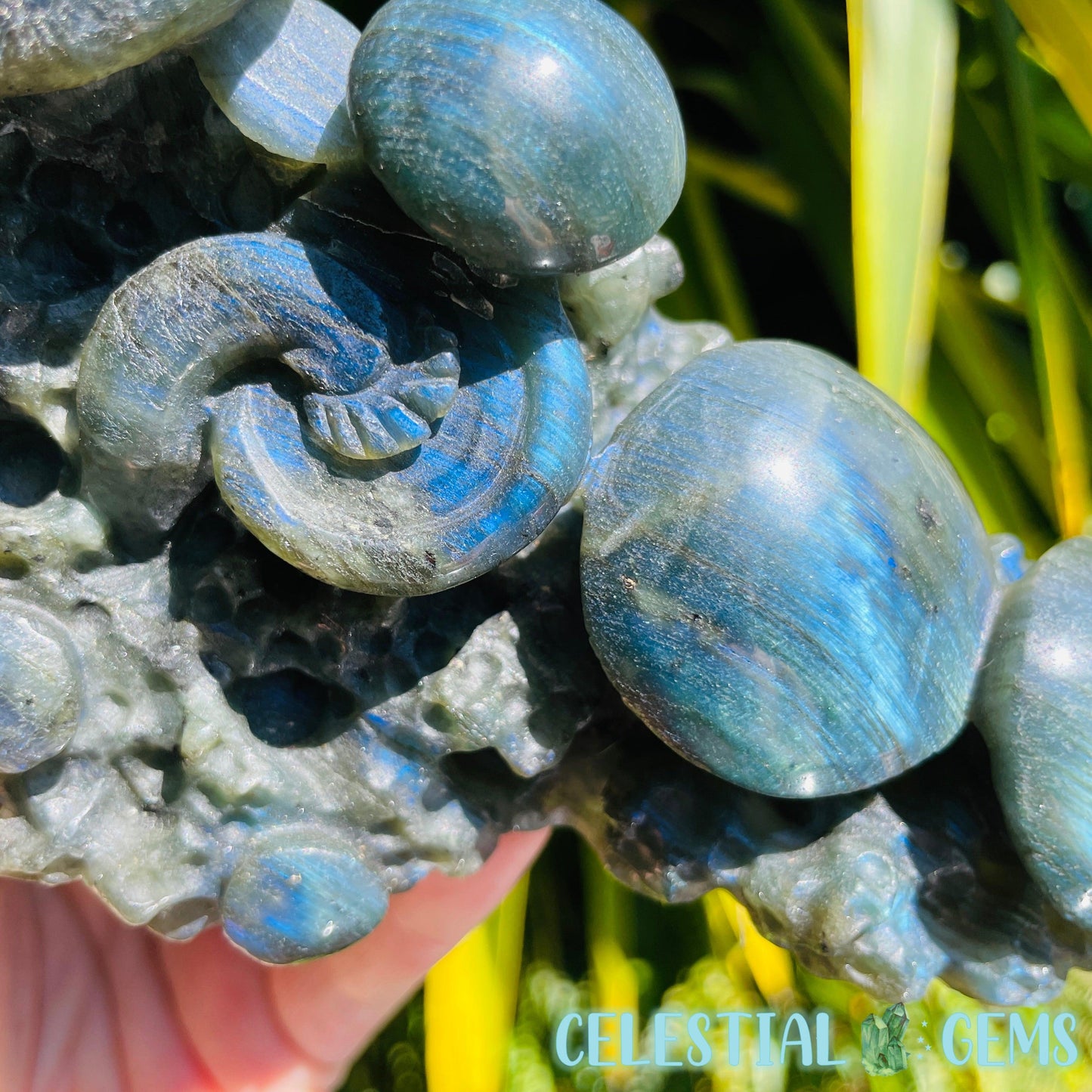 Labradorite Mushroom Troop Large Carving