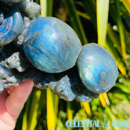Labradorite Mushroom Troop Large Carving