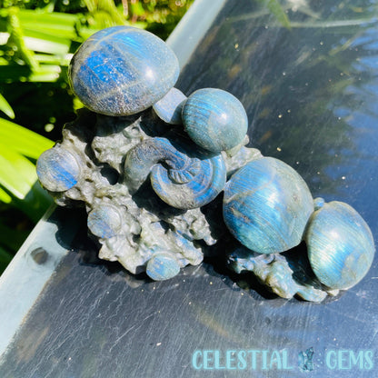Labradorite Mushroom Troop Large Carving