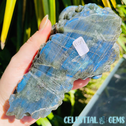 Labradorite Mushroom Troop Large Carving