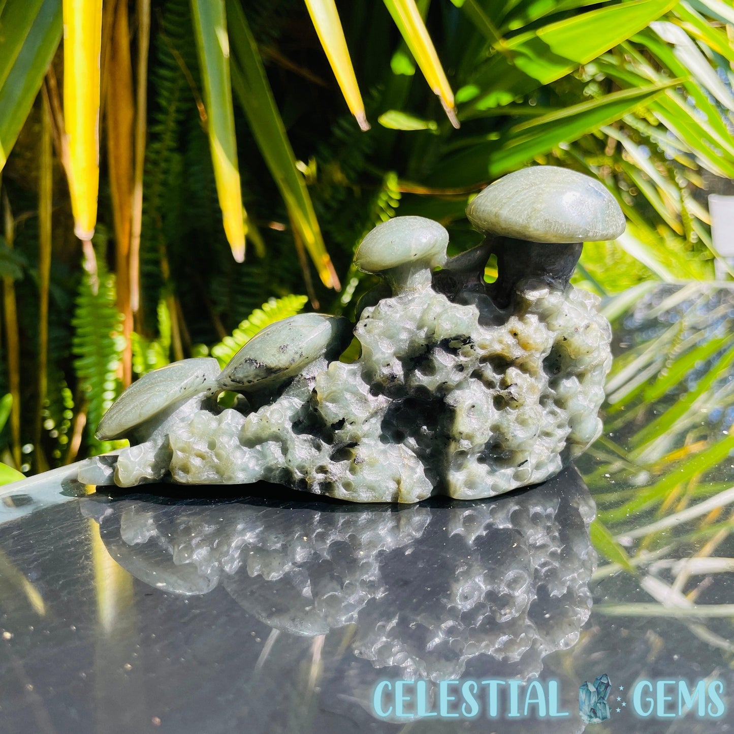 Labradorite Mushroom Troop Large Carving