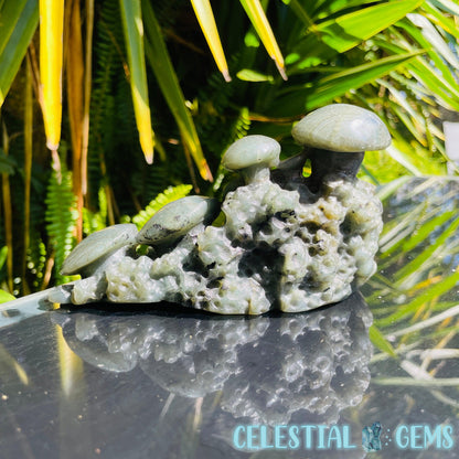 Labradorite Mushroom Troop Large Carving