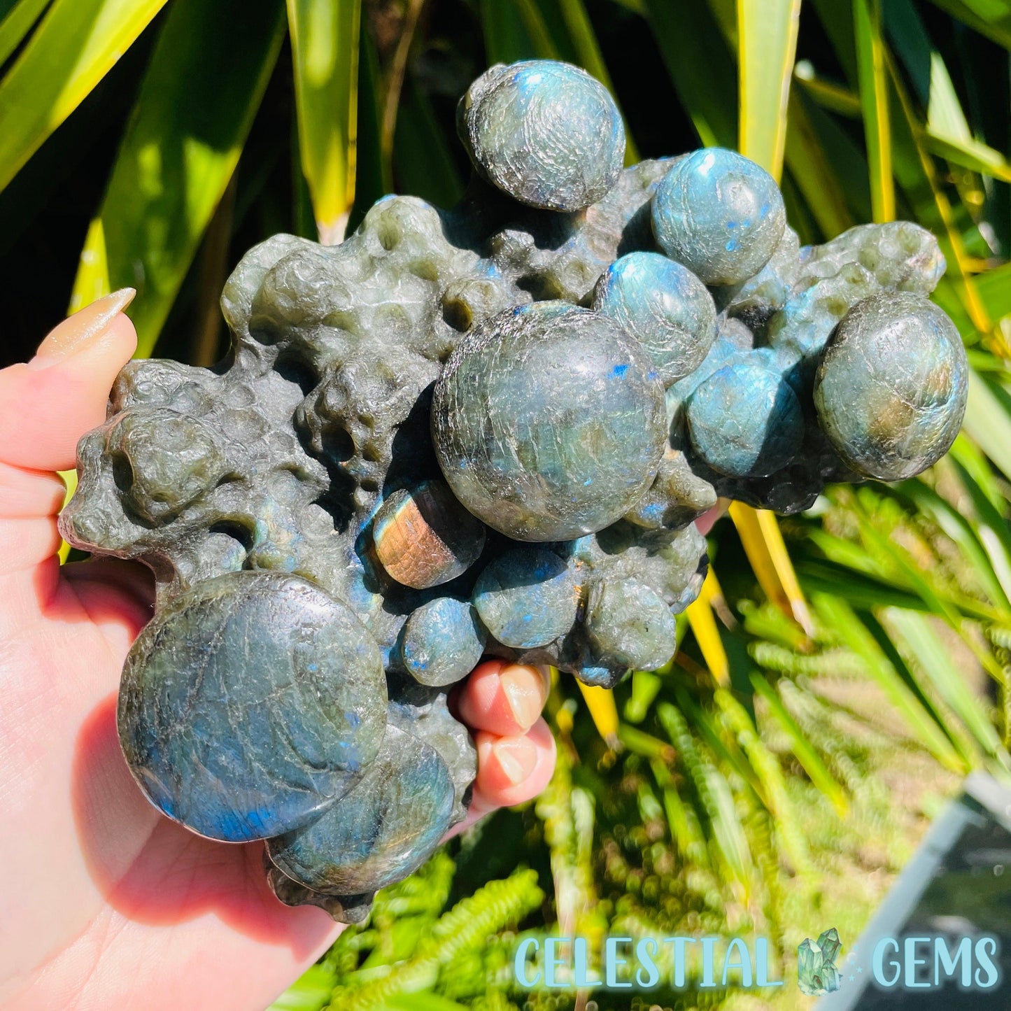 Labradorite Mushroom Troop Large Carving