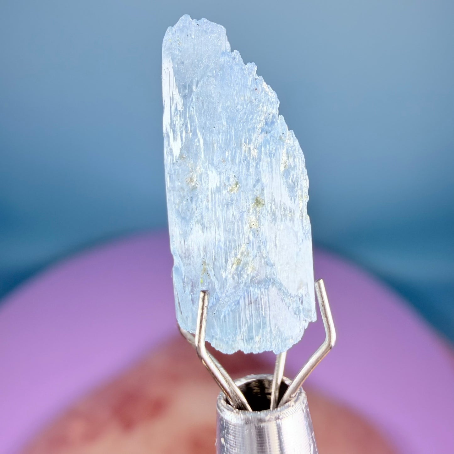 Aquamarine (Scandium-Rich) Crystal Specimen in Box