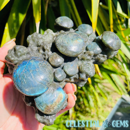 Labradorite Mushroom Troop Large Carving