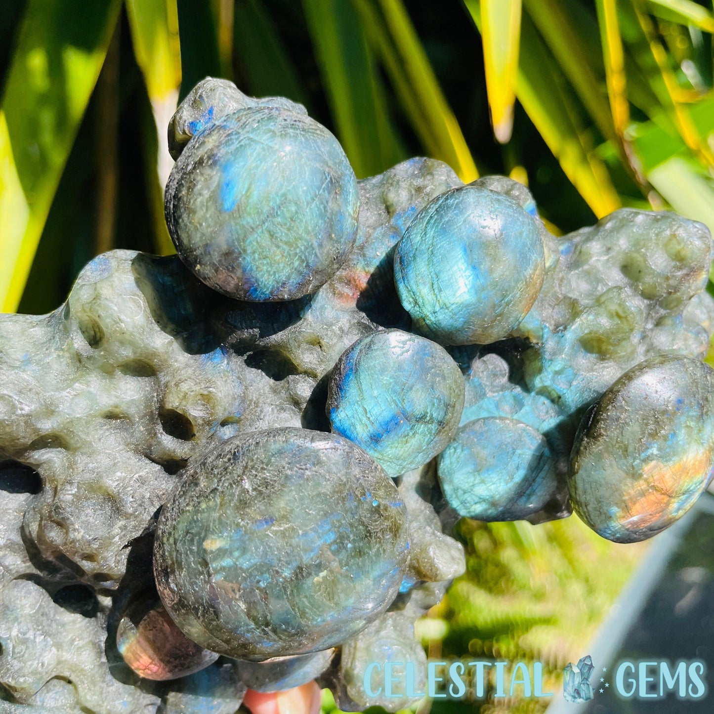 Labradorite Mushroom Troop Large Carving