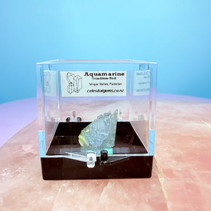 Aquamarine (Scandium-Rich) Crystal Specimen in Box