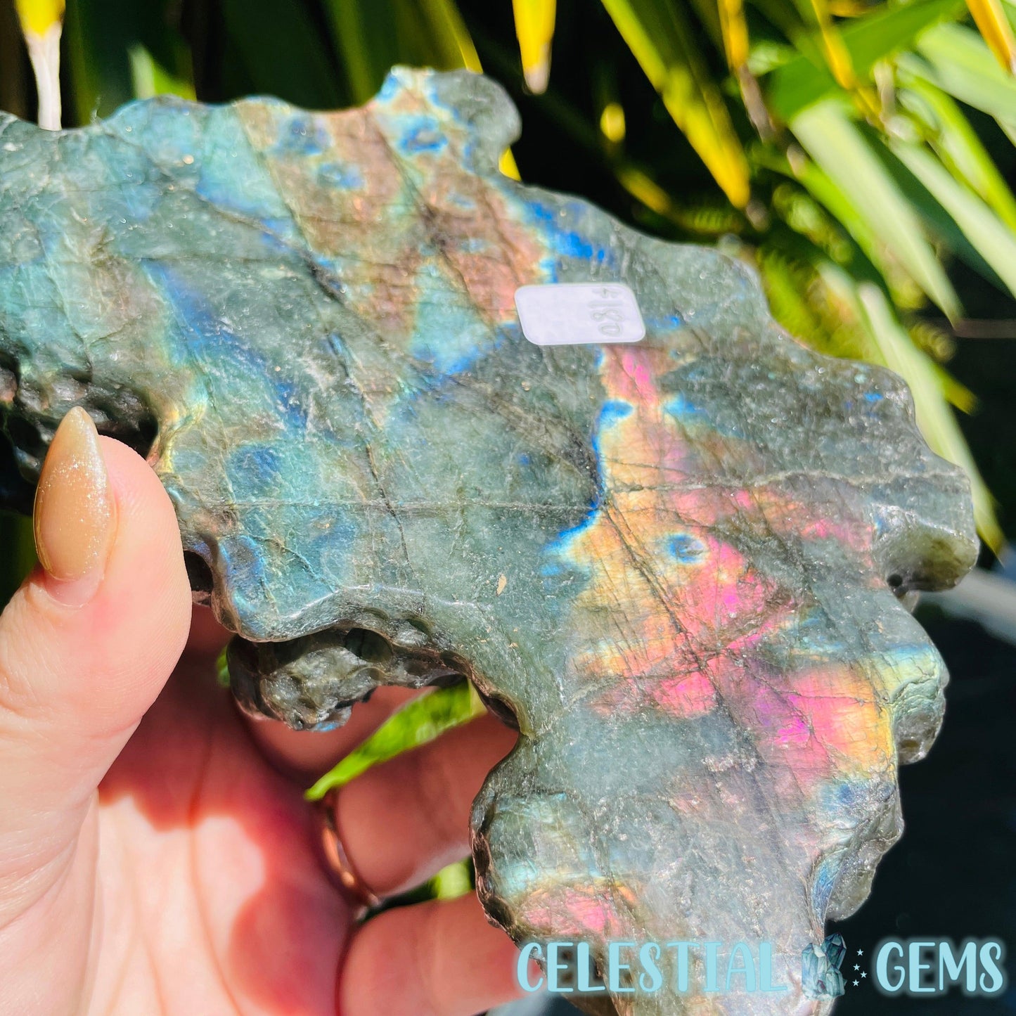 Labradorite Mushroom Troop Large Carving