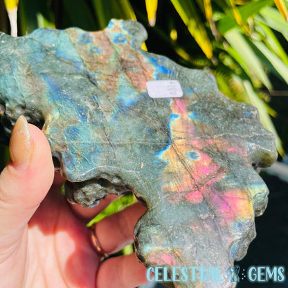 Labradorite Mushroom Troop Large Carving