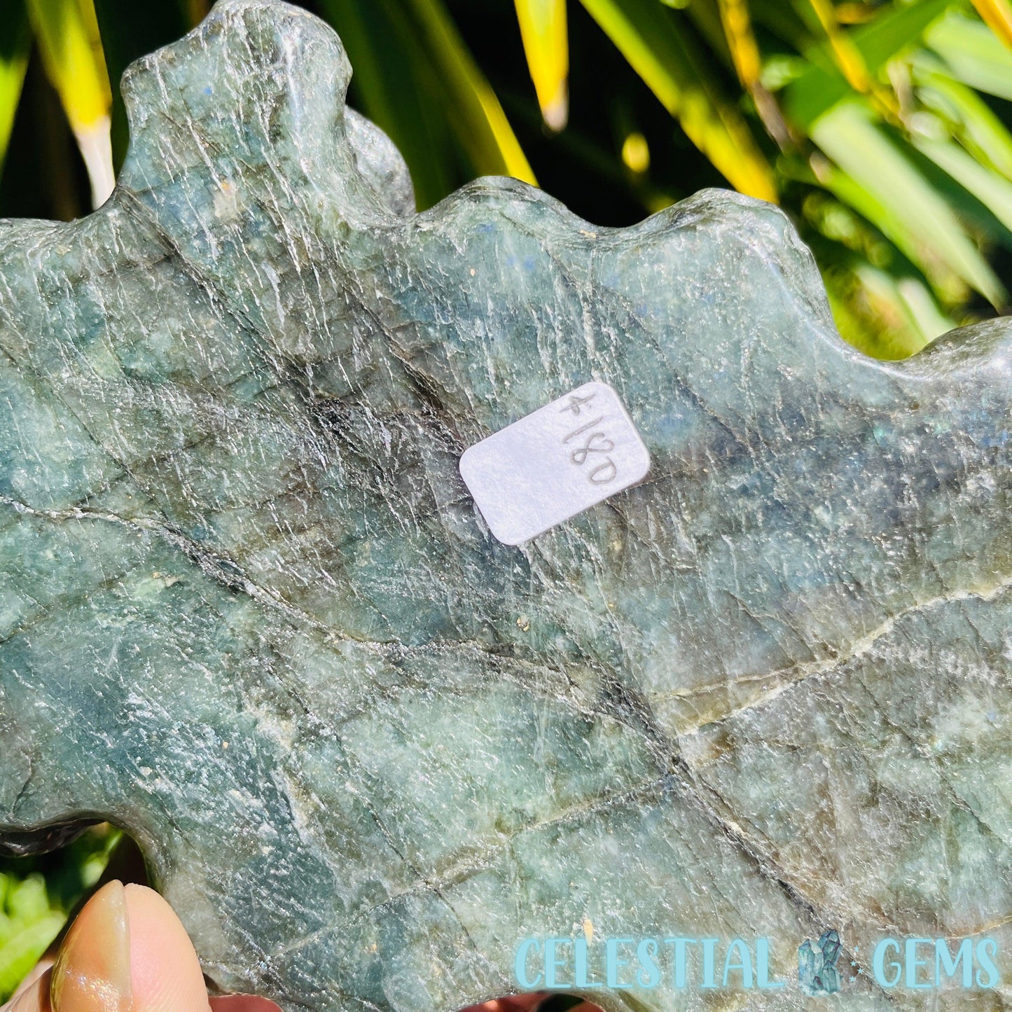 Labradorite Mushroom Troop Large Carving