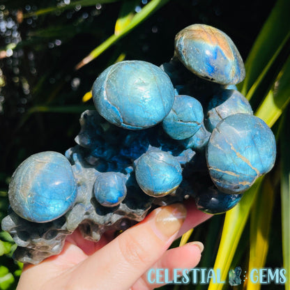 Labradorite Mushroom Troop Large Carving