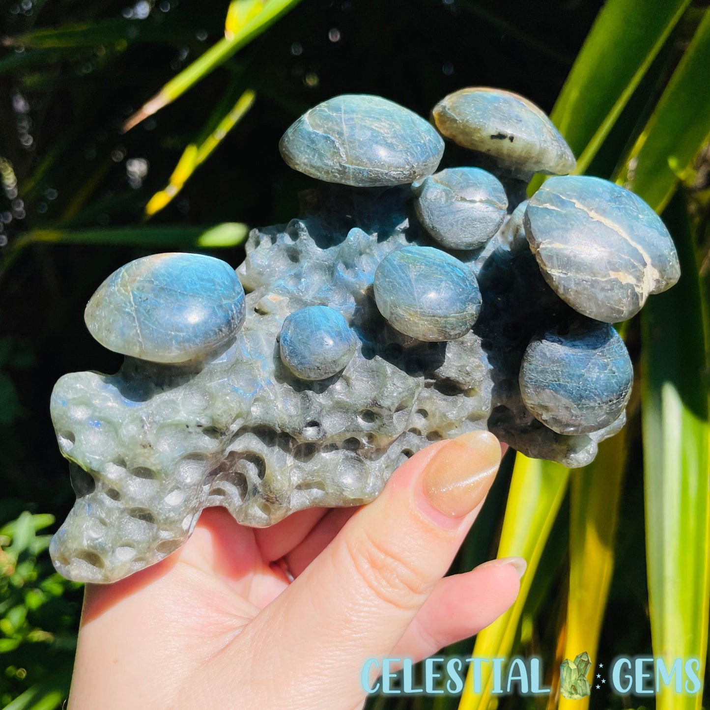 Labradorite Mushroom Troop Large Carving