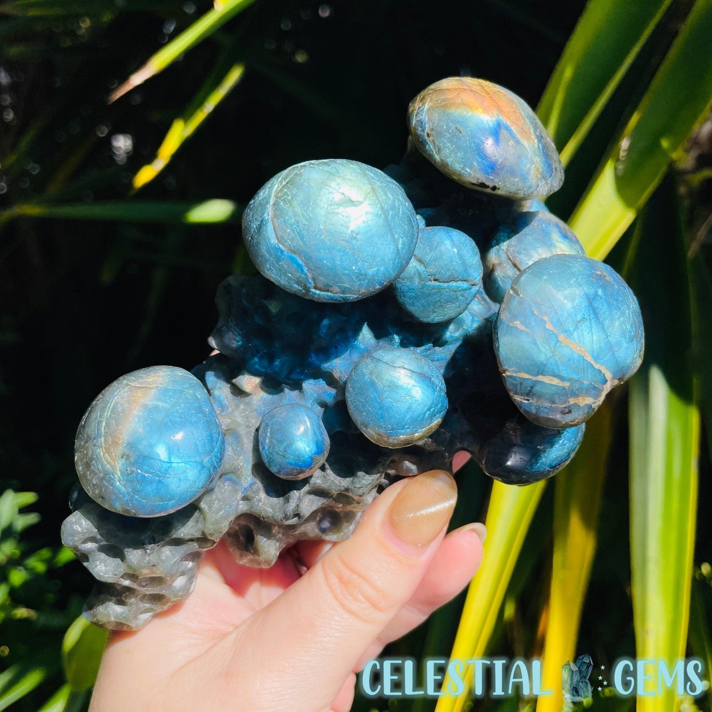 Labradorite Mushroom Troop Large Carving