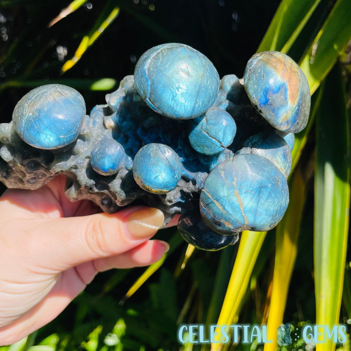 Labradorite Mushroom Troop Large Carving