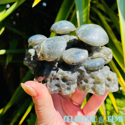 Labradorite Mushroom Troop Large Carving