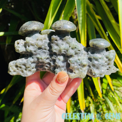 Labradorite Mushroom Troop Large Carving