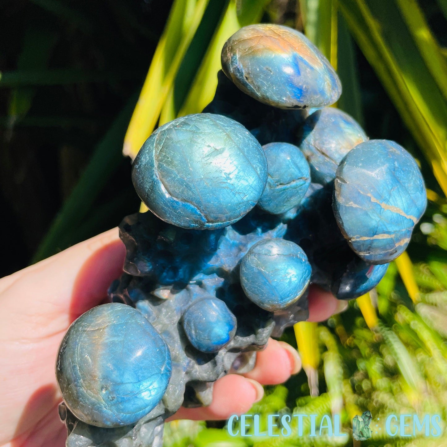 Labradorite Mushroom Troop Large Carving