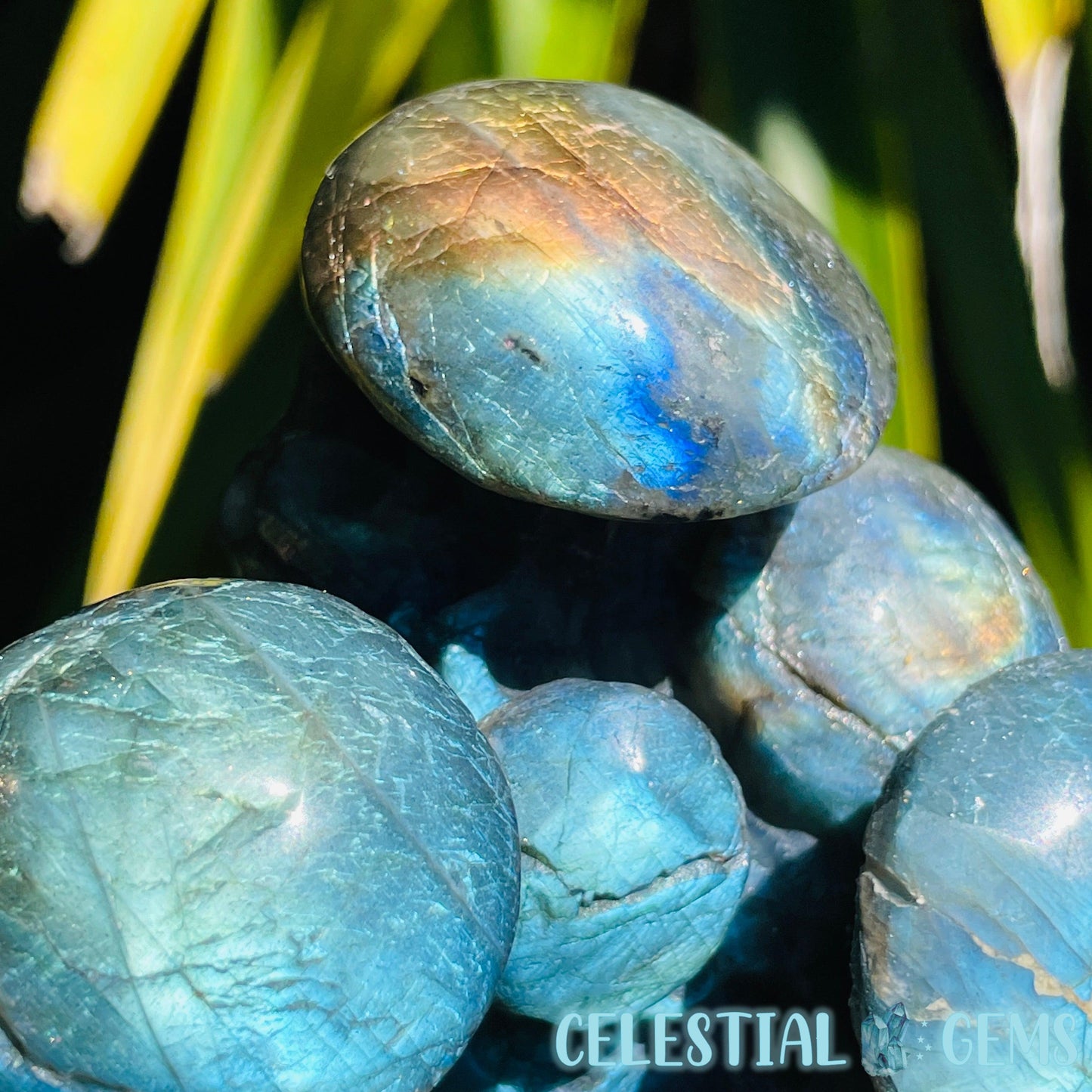 Labradorite Mushroom Troop Large Carving