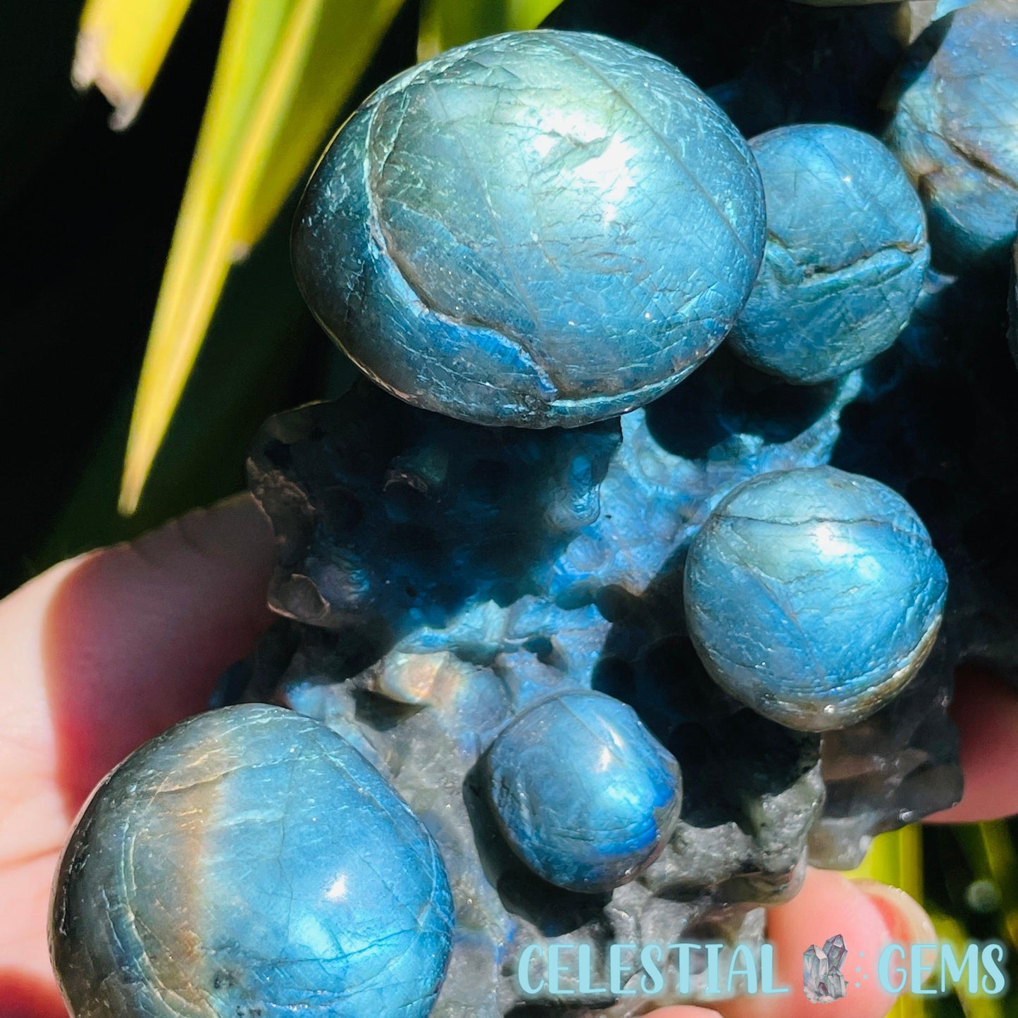 Labradorite Mushroom Troop Large Carving