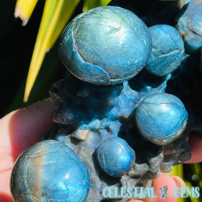 Labradorite Mushroom Troop Large Carving