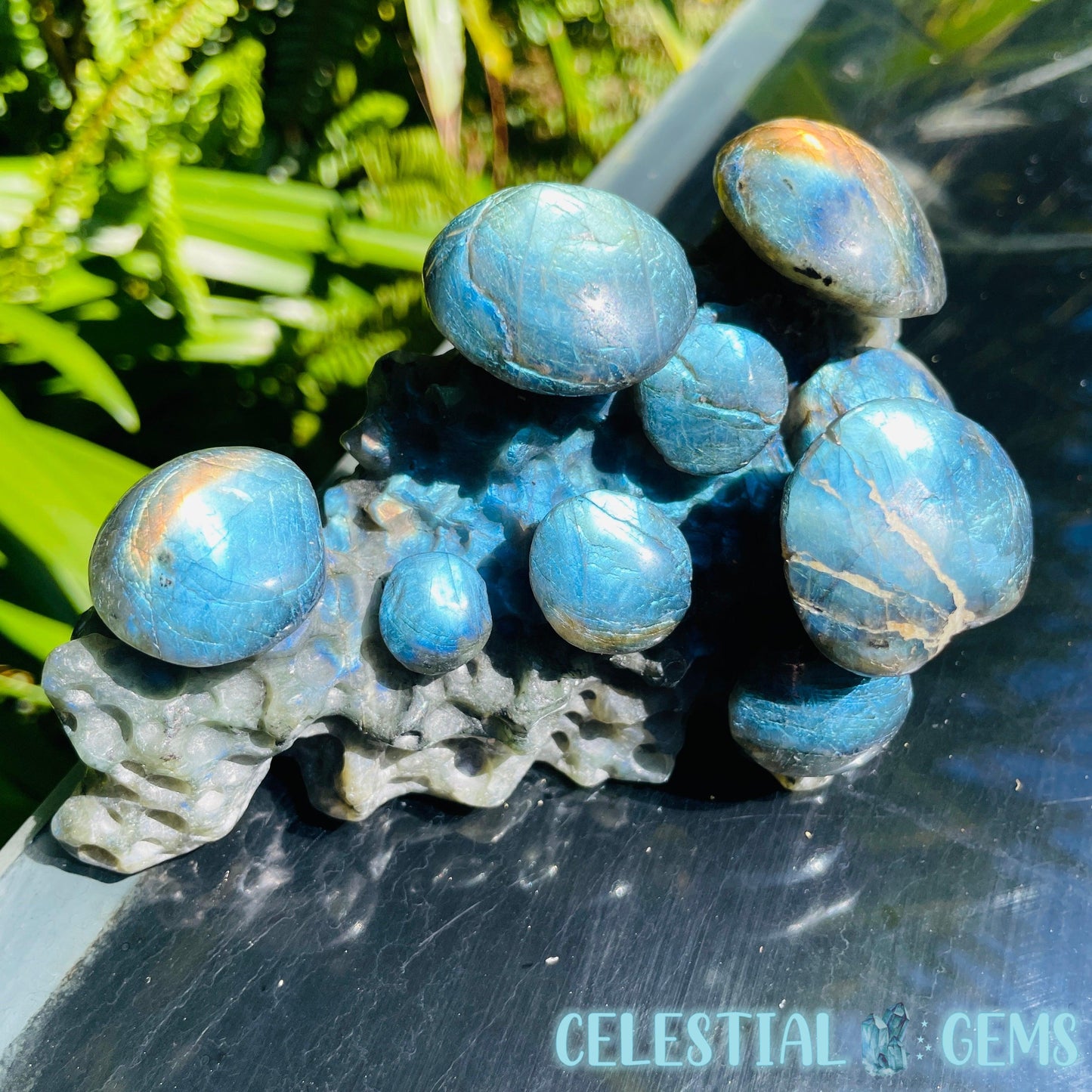 Labradorite Mushroom Troop Large Carving