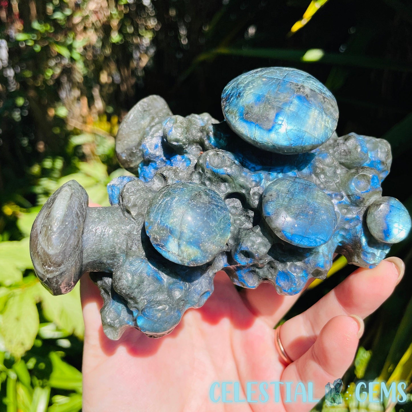 Labradorite Mushroom Troop Large Carving