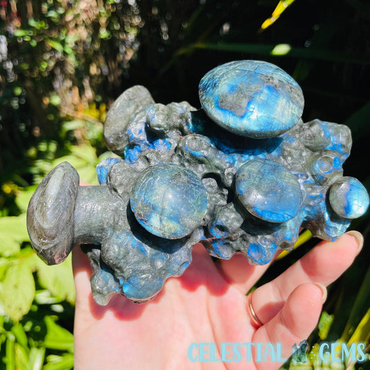 Labradorite Mushroom Troop Large Carving