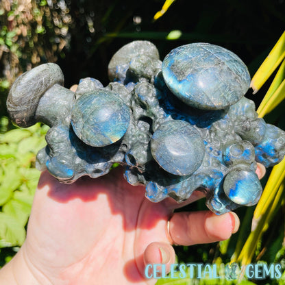 Labradorite Mushroom Troop Large Carving